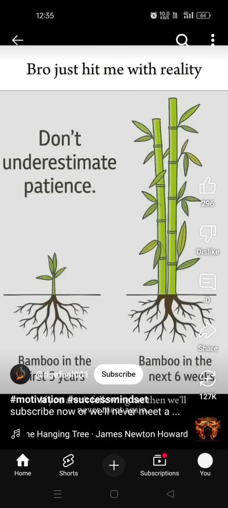 Illustration of a bamboo tree showing years of underground root growth followed by rapid upward shoot growth, symbolizing patience and long-term success in blogging and finance.